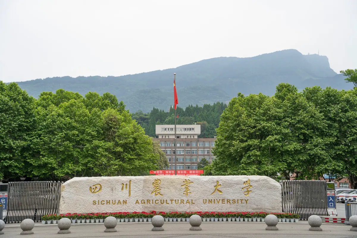 川农正门 · 第 2 张